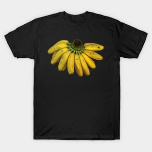 isolated banana T-Shirt